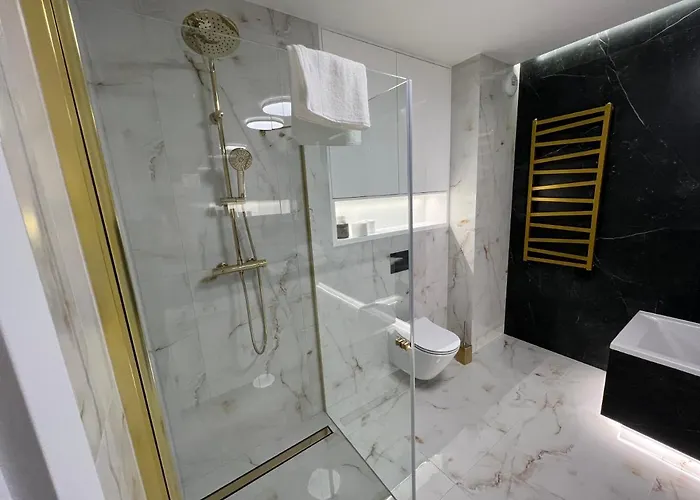 Przy Dmowskiego Nowe Appartement Poznań