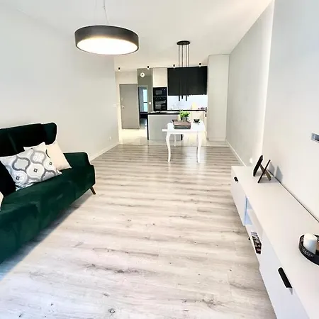 Apartament Przy Dmowskiego Nowe Poznań